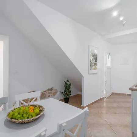 Apartments Agata Novigrad Istria Exterior foto