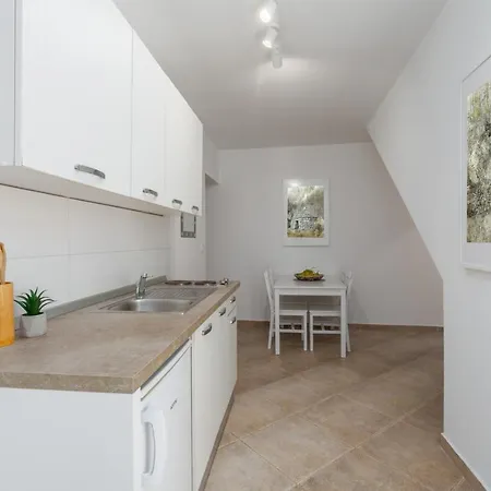 Apartments Agata Novigrad Istria Exterior foto